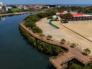 Cartagena protegerá manglares de Chambacú con ecosenderos en nuevo complejo