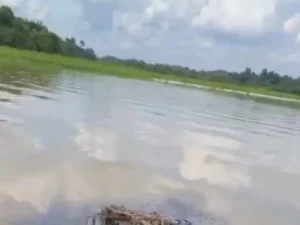 Derrame de crudo amenaza la ciénaga El Llanito en Barrancabermeja