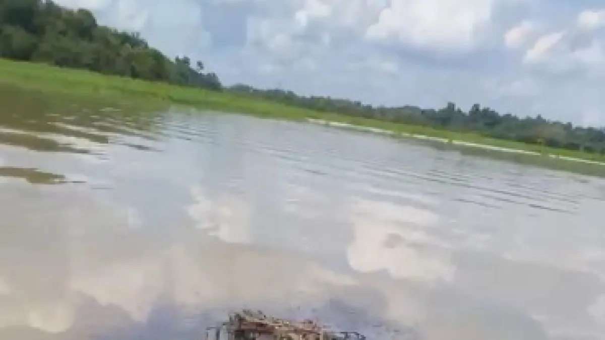 Derrame de crudo amenaza la ciénaga El Llanito en Barrancabermeja
