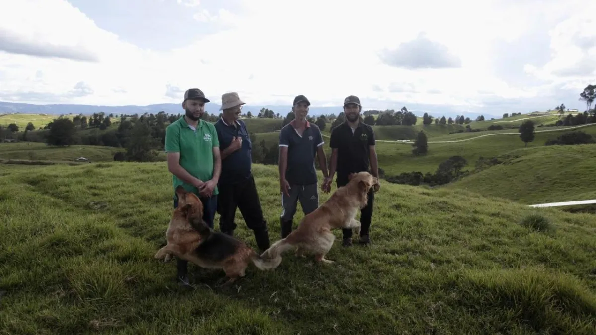 La familia colombiana que reinventó la ganadería sin venenos ni jaulas