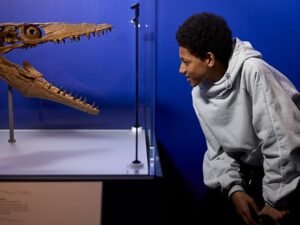 Monstruos jurásicos del mar reviven en Londres con alerta climática