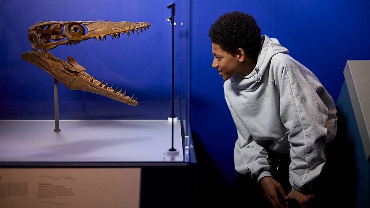 Monstruos jurásicos del mar reviven en Londres con alerta climática