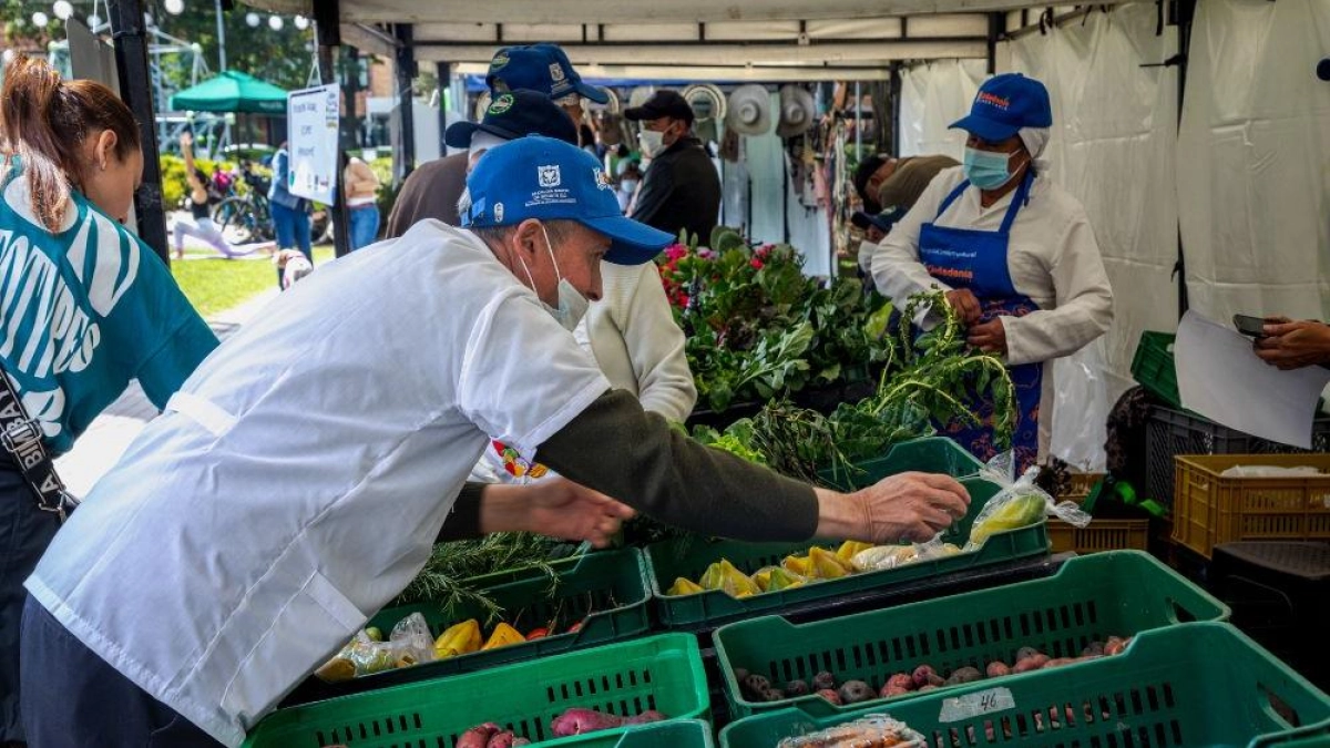 Hambre en Colombia: avances nacionales y crisis crítica en Chocó