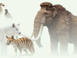 Desextinción animal: del lobo terrible al dodo, la ciencia que revive especies