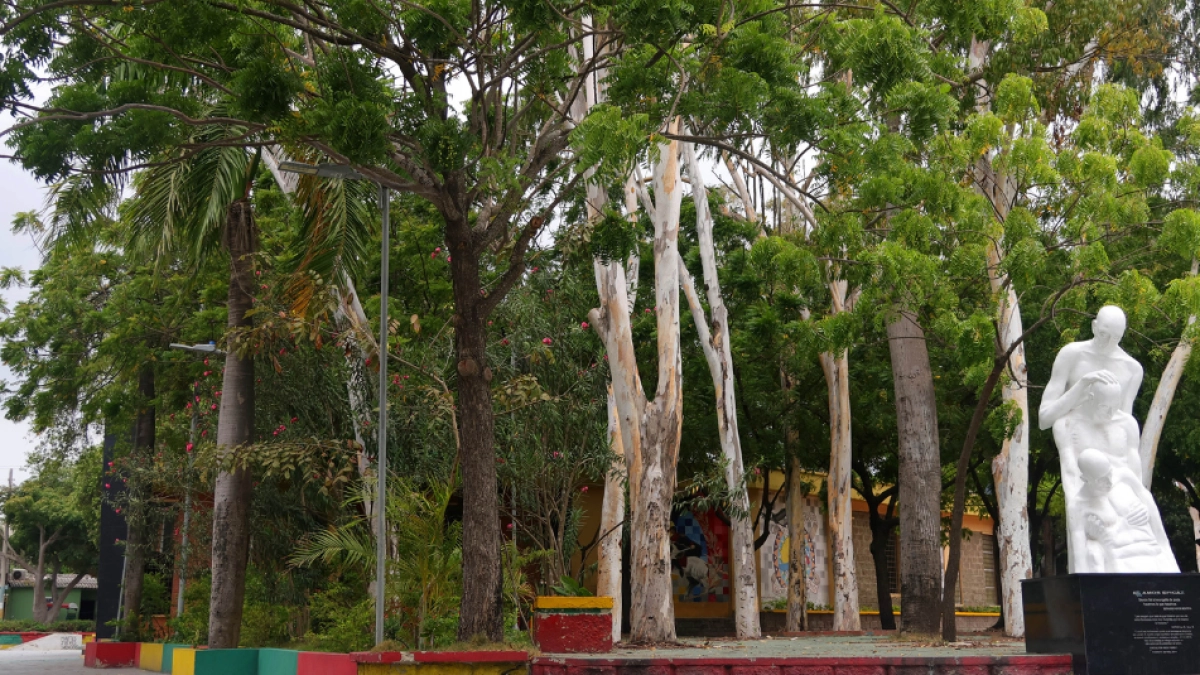 El parque que venció al calor en Barranquilla: lección desde Rebolo