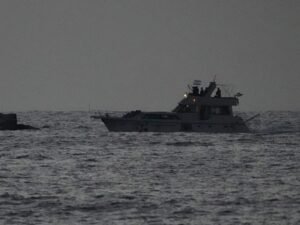 Israel traslada a 430 activistas de la Flotilla a prisión de Ktziot