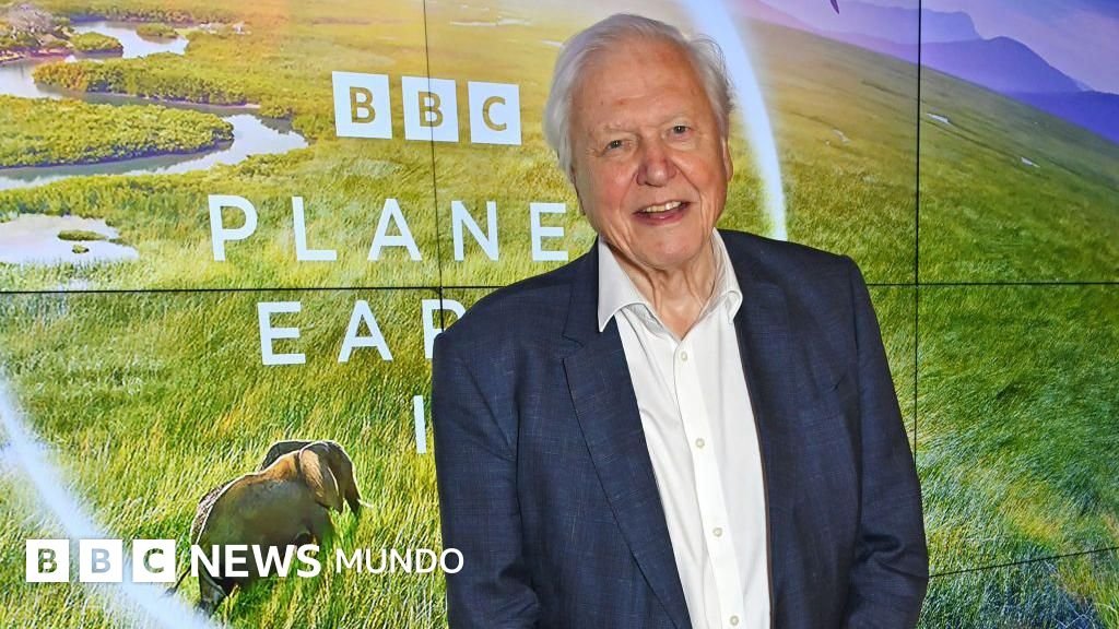 David Attenborough cumple 100 años: el documental que cambió la TV