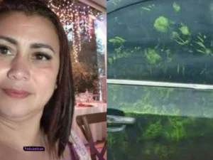 Manchas verdes en el carro de Yulixa Toloza: ¿qué revelan?