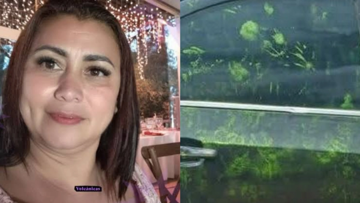 Manchas verdes en el carro de Yulixa Toloza: ¿qué revelan?