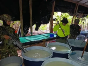 Desmantelan mega laboratorio de cocaína de disidentes FARC en Nariño