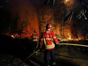 Portugal se prepara para un verano de incendios tras las tormentas