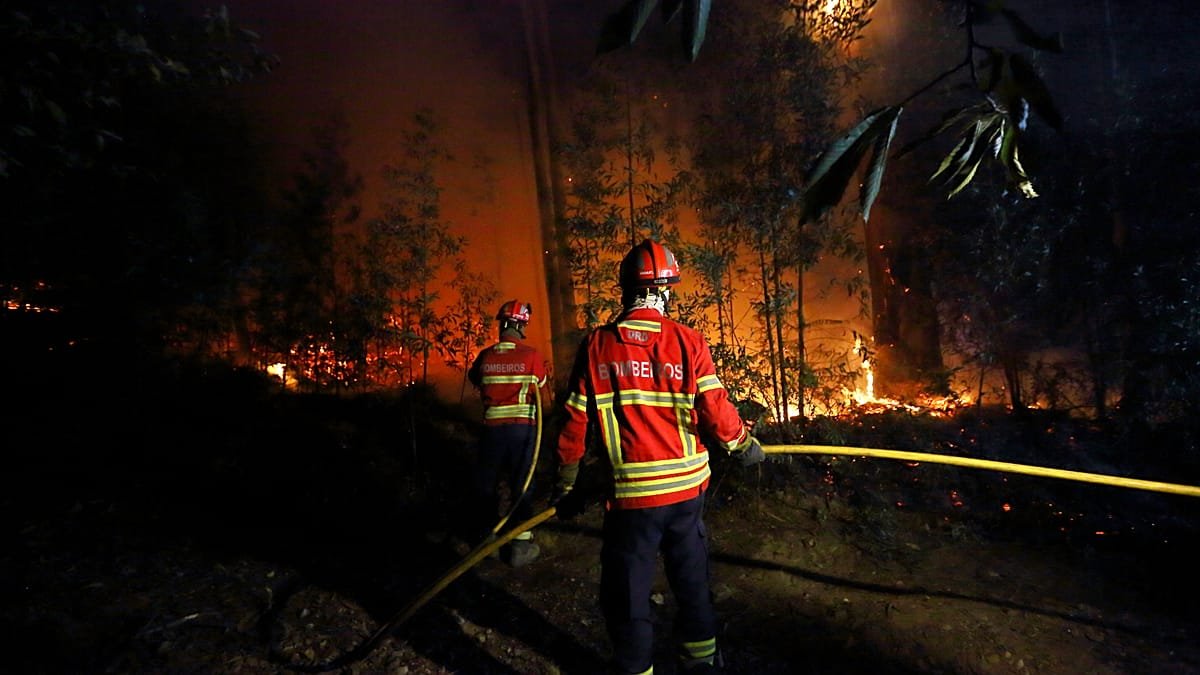 Portugal se prepara para un verano de incendios tras las tormentas