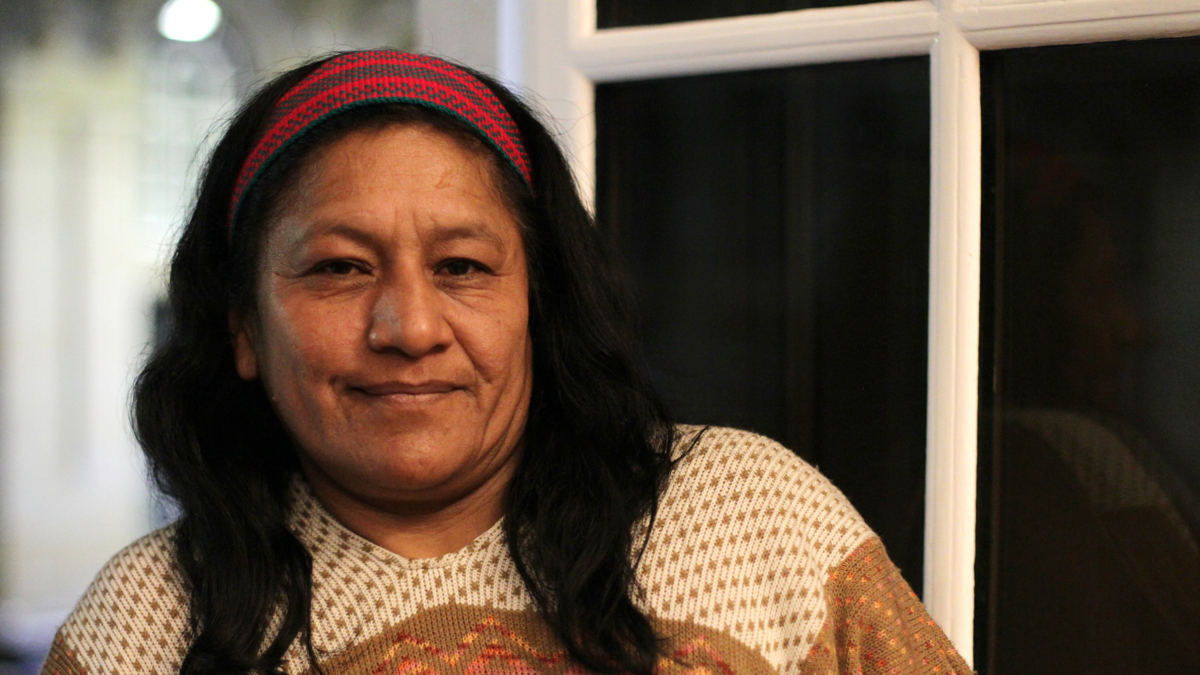 Crisis humanitaria en el Cauca: indígenas Misak y Nasa en confrontación