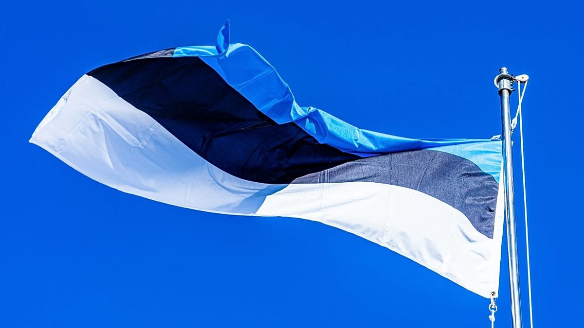 Estonia lidera la alfabetización en IA con su programa AI Leap