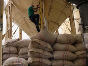 Café colombiano: sube 29% en mayo pero cae 19% en el año