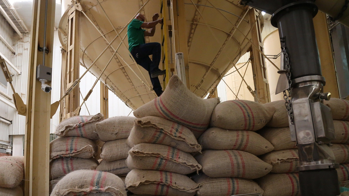 Café colombiano: sube 29% en mayo pero cae 19% en el año