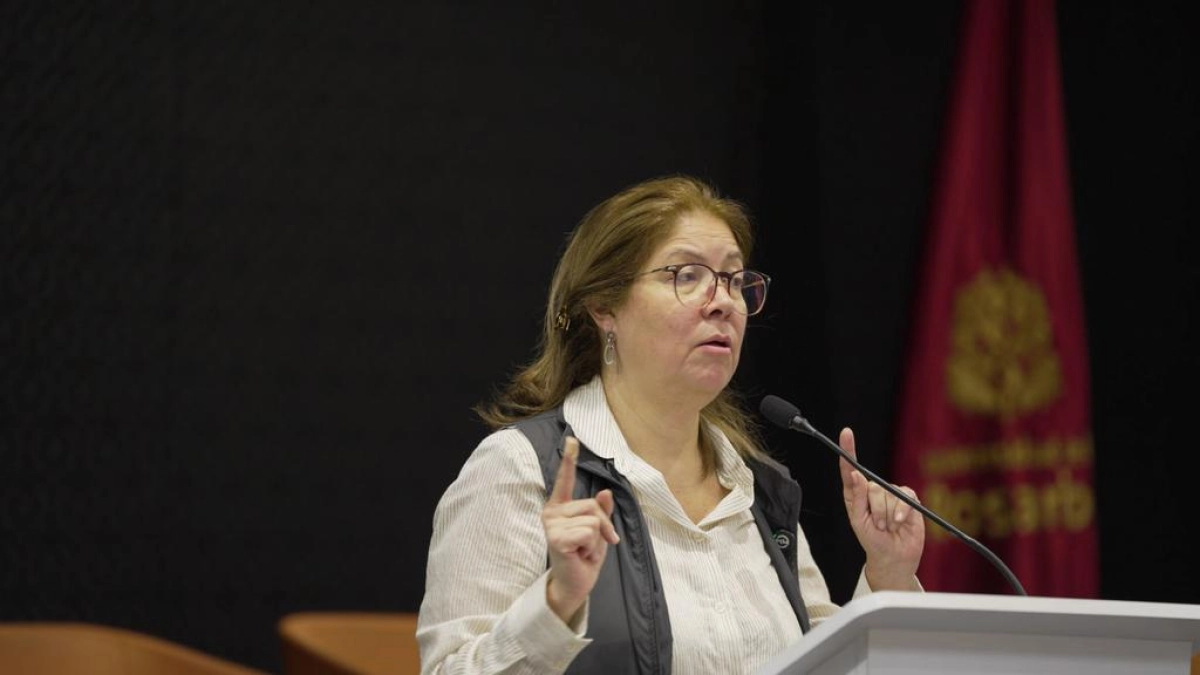 MOE descarta fraude electoral en Colombia y alerta por polarización