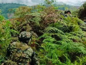 Drones explosivos de disidentes confinan 200 familias en Cauca