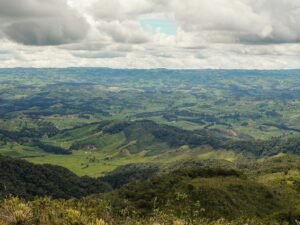 Colombia 2026: De la Espriella y Cepeda, la segunda vuelta más tensa