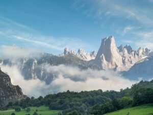Las turberas, el arma natural que Europa redescubre para su defensa