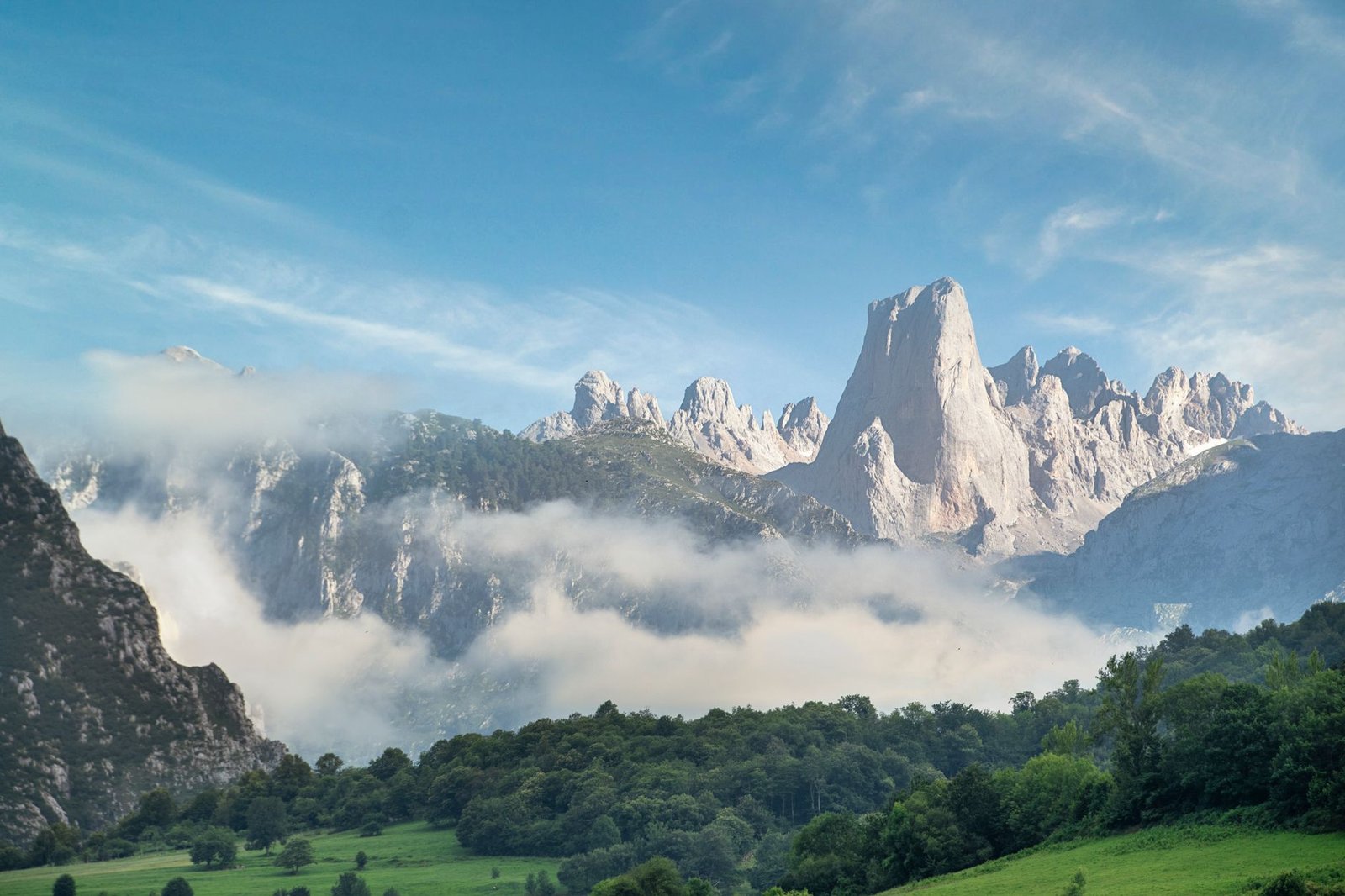 Las turberas, el arma natural que Europa redescubre para su defensa