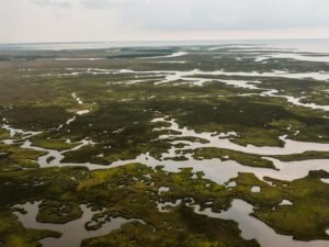 El delta del Danubio: cuando la guerra de Ucrania llega al paraíso