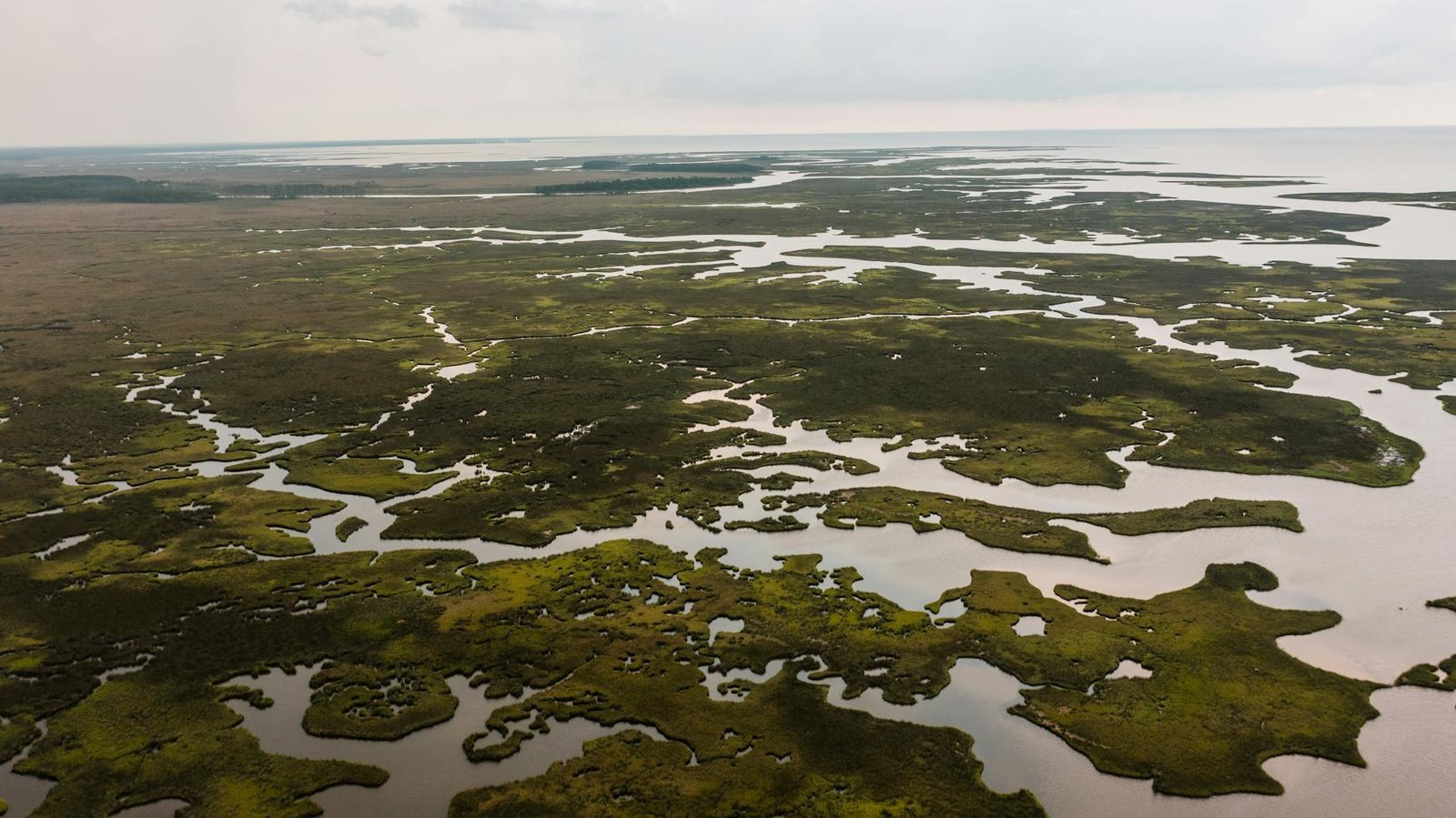 El delta del Danubio: cuando la guerra de Ucrania llega al paraíso