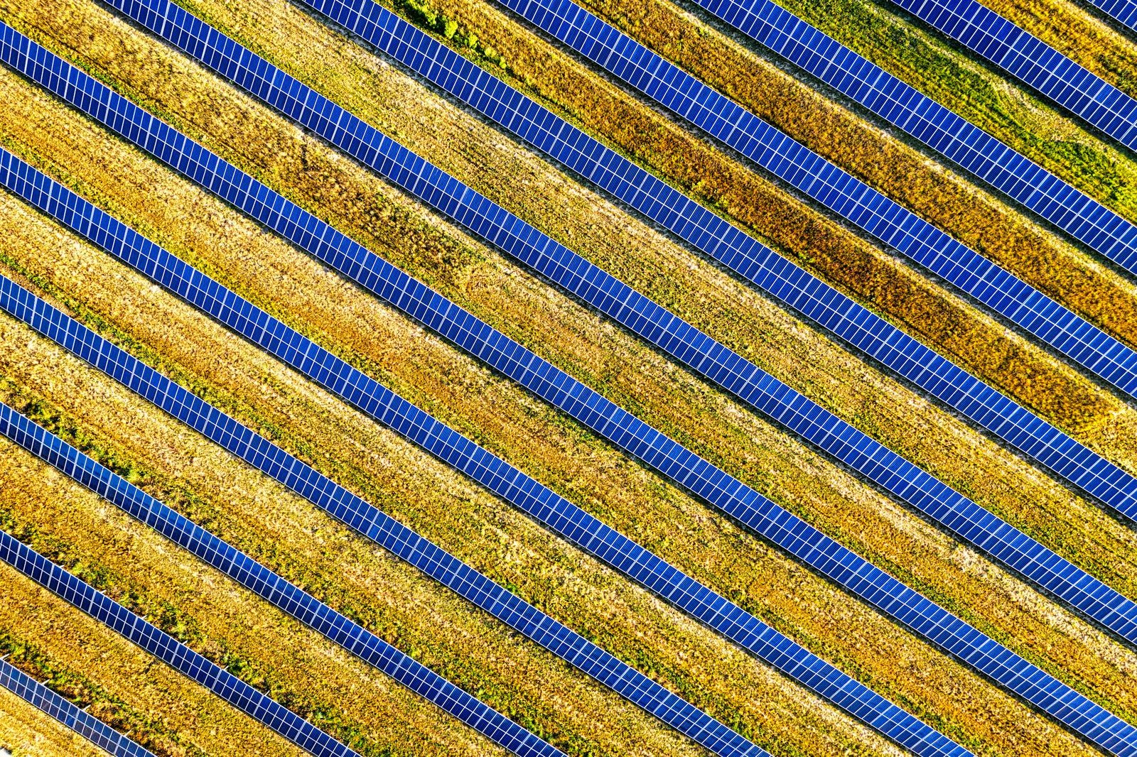 DHL apuesta por Colombia: paneles solares, Medellín y e-commerce