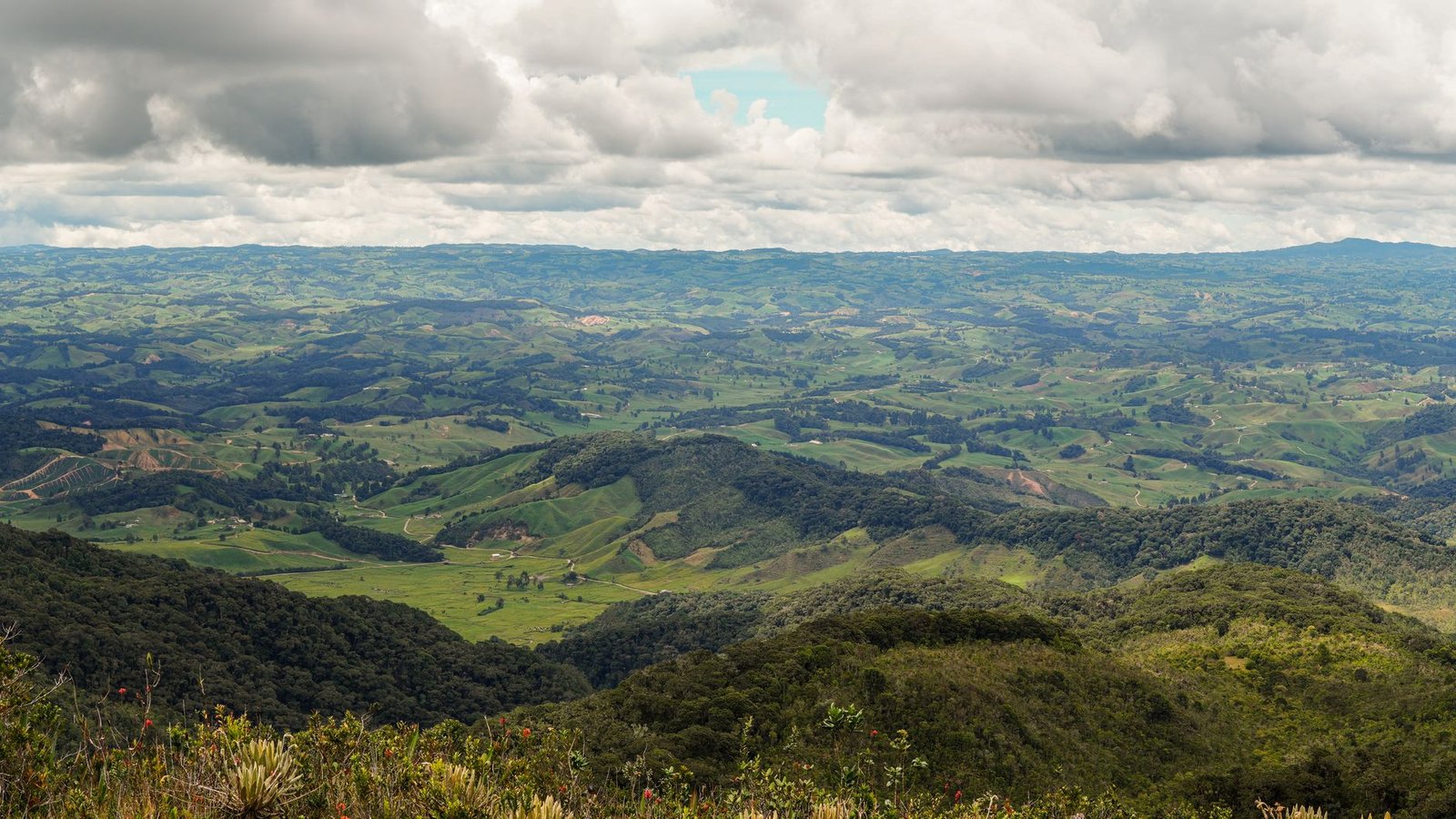Elecciones 2026 en Colombia: cierran fronteras terrestres y fluviales