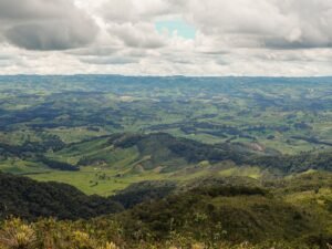 Segunda vuelta en Colombia 2026: De la Espriella vs Cepeda