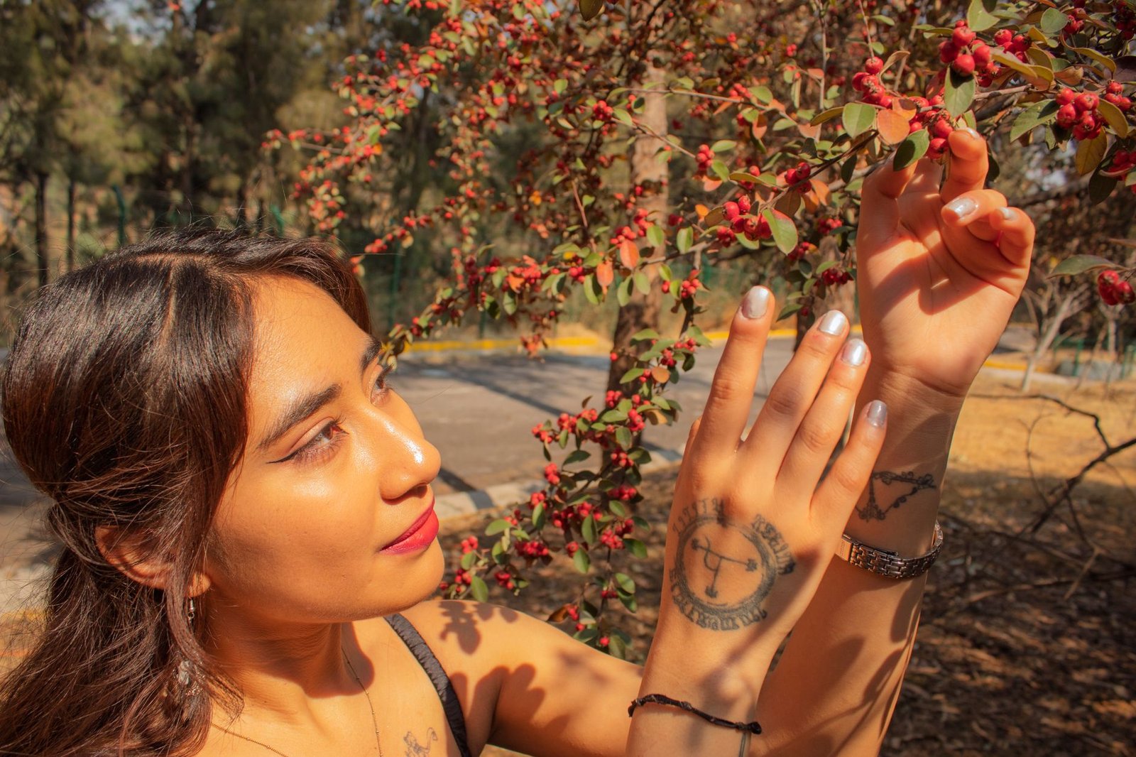 El árbol perfecto en México: da frutos todo el año, no requiere muchos