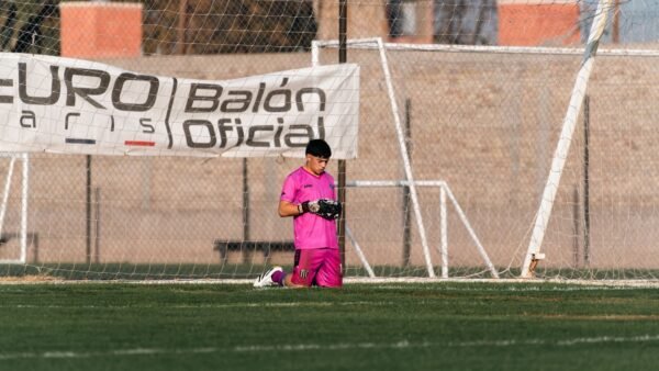 Courtois lesion retira