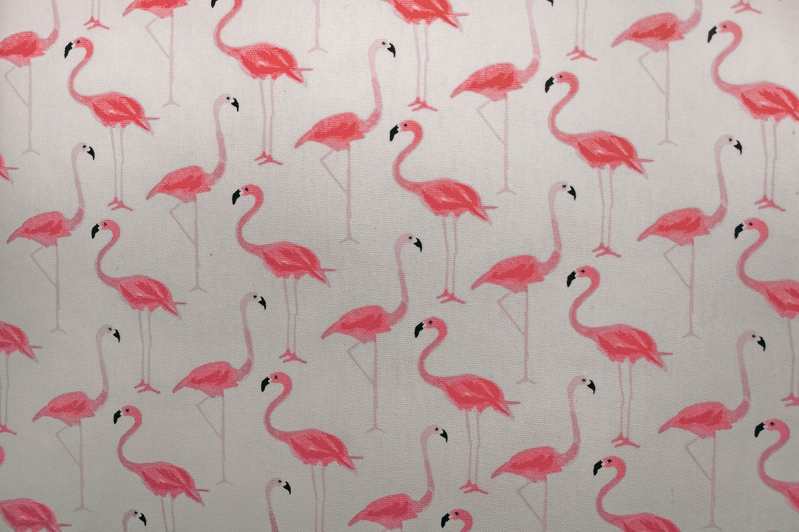 Almacenes Flamingo reorganiza deudas por $340.000 millones