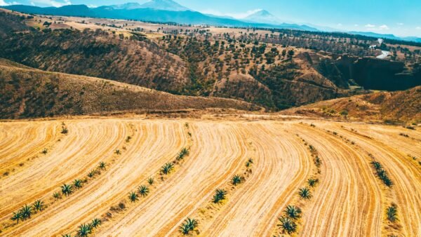 PEI adquisición Terranum inmobiliario