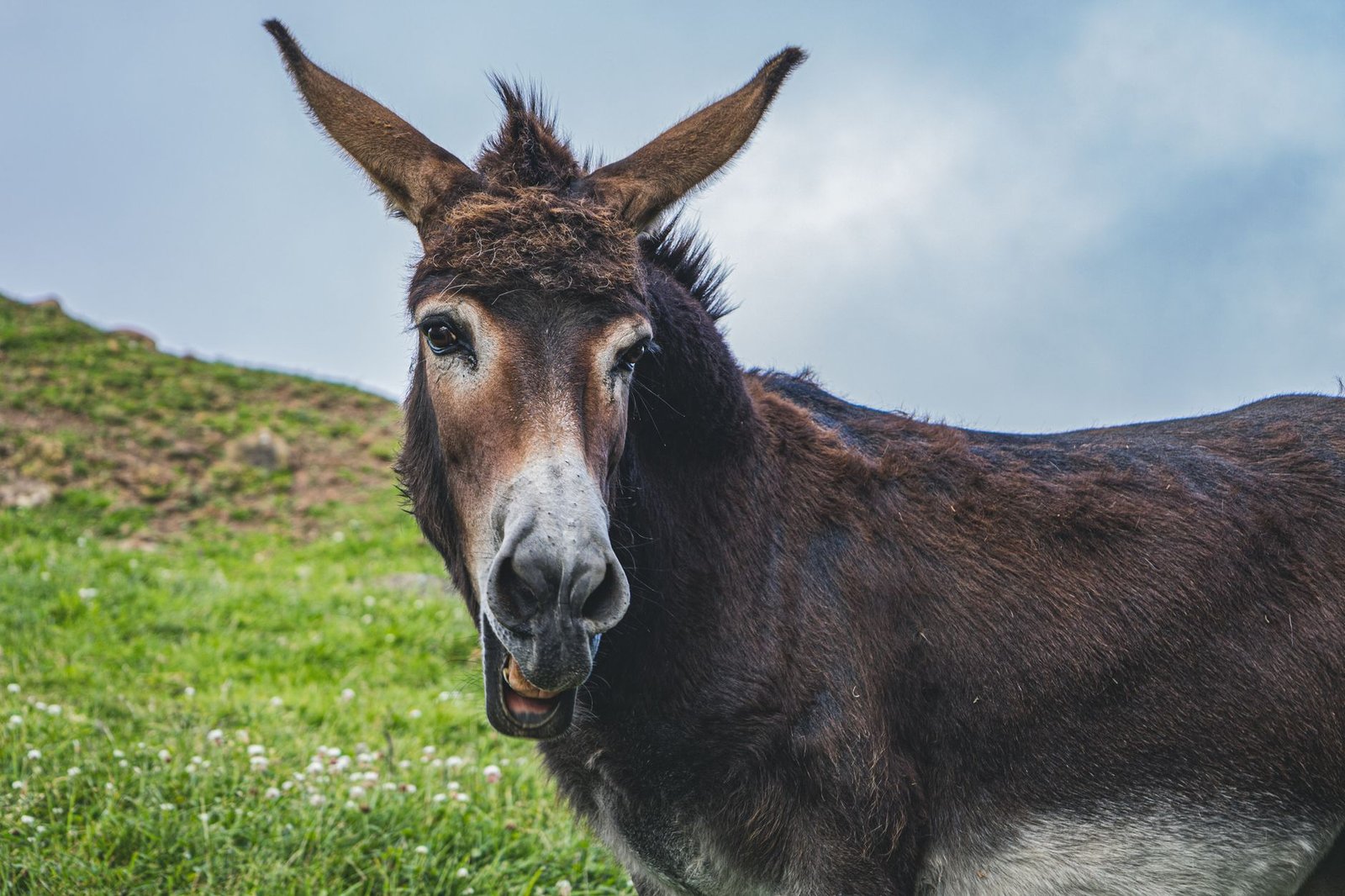 Zanjón del Burro en Cali: obras privadas sin control ambiental