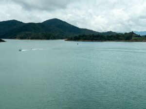 Puerto Antioquia inicia exportaciones de café desde Urabá y habilita u