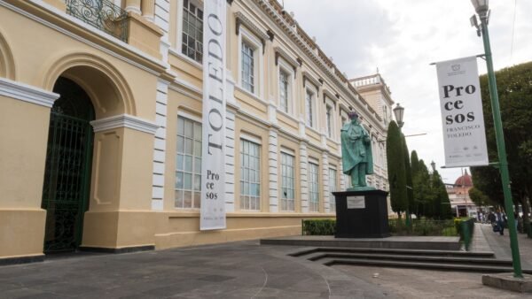 38 juristas piden