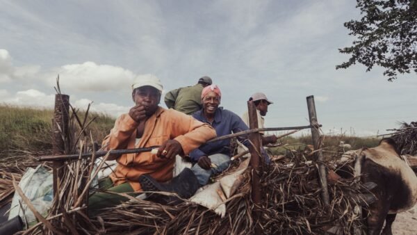 desempleo migrante sudáfrica