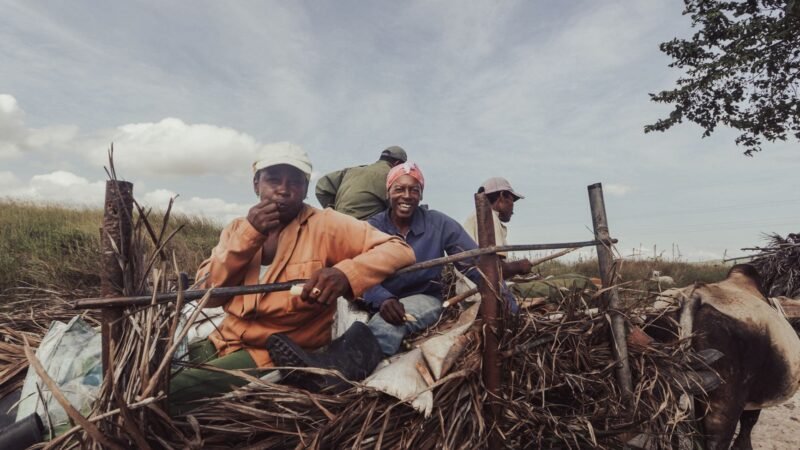 Del desempleo a la caza del migrante en Sudáfrica: el movimiento que h