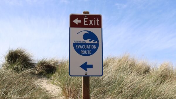 puedes evitar tsunamis