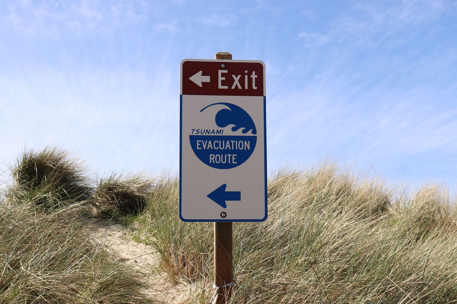 Si no puedes evitar tsunamis ni bombardeos, llévate el búnker contigo: