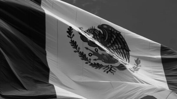 águila tirana reaparece