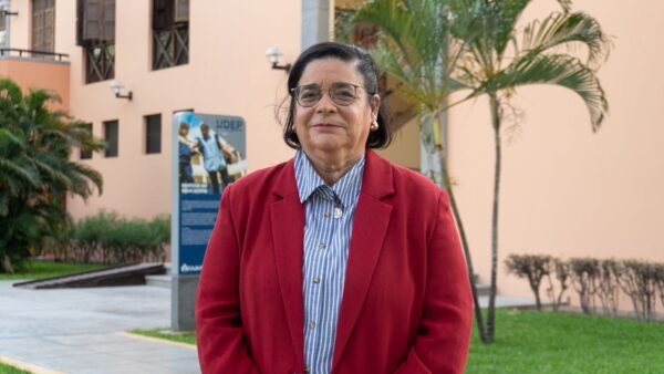 directora implementación acuerdo