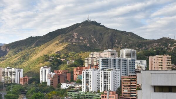 cali ofrece recompensa