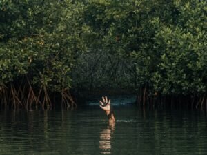 Tras una persecución en altamar y escondidas entre el manglar, la Arma