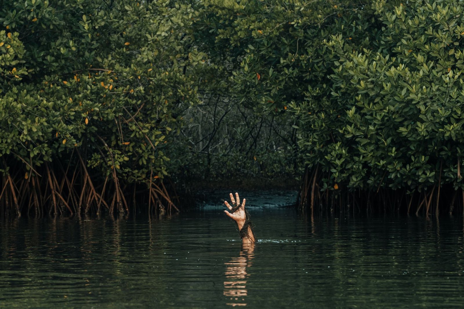 Tras una persecución en altamar y escondidas entre el manglar, la Arma