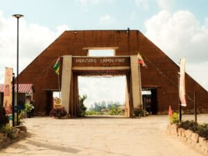 Campesinos confinados en Mercaderes, Cauca, por intensos combates entr