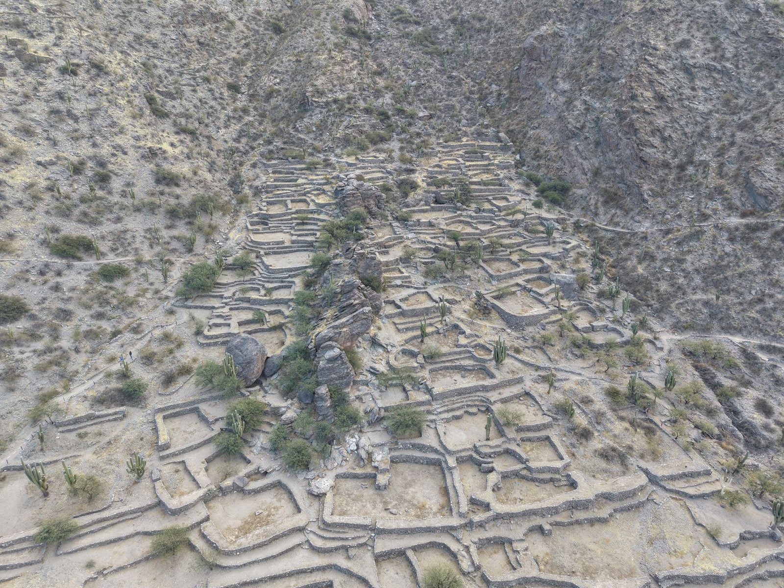 De Lerín a Borobia: los pueblos con sello Starlight que se preparan pa