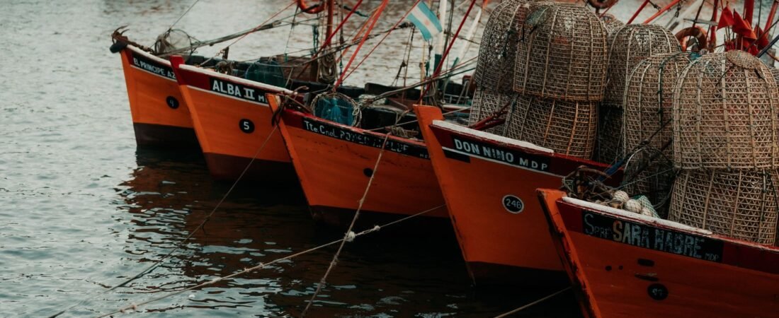 Calamares y pulpos se extienden en el mar del Norte debido a la temperatura del agua.
