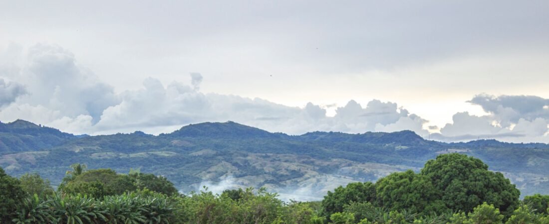 Incendios forestales en Tolima devastan más de 20.000 hectáreas: estos son los municipios en máxima alerta y las vías…